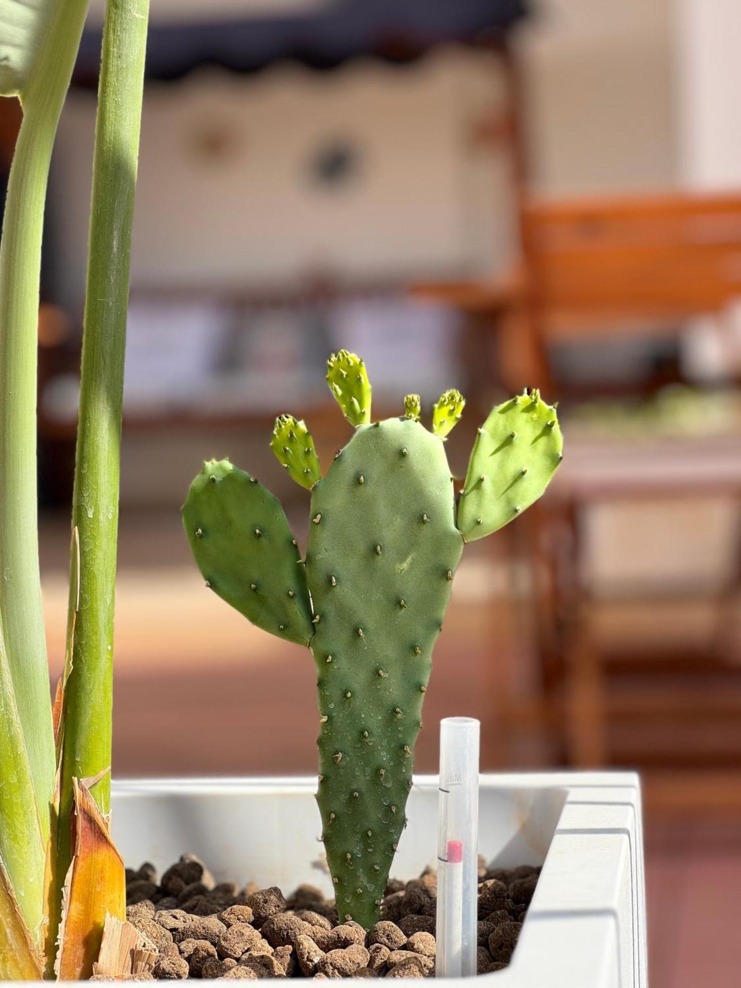Frühstückspension B&B Santa Maria Di Leuca Santa Maria di Leuca